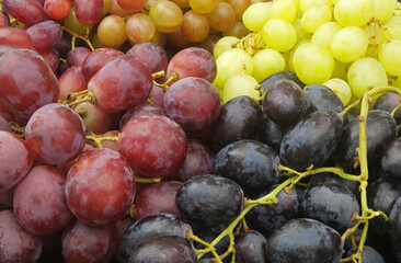 Several kinds of fresh grapes close up as background.