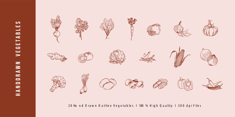 Fototapeta na wymiar Hand-drawn vegetable outline vector illustrations for brochures, cafe flyers, delivery, and restaurant menu.