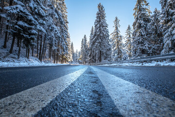 Winter road through pine forest - 619089649