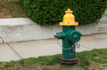 Fototapeta na wymiar fire hydrant stands prominently on the street, representing safety, emergency preparedness, and a lifeline in times of crisis