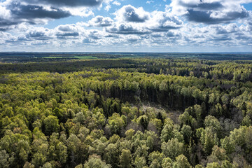 Obraz premium landscape with trees and clouds