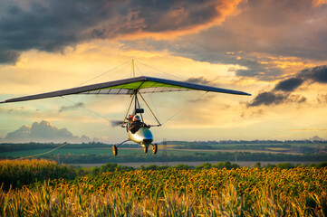 Hang glider trike wing - 619093091