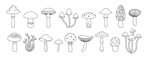 Set mushroom isolated on a white background. Vector illustration in outline style. For cards, logo, decorations, invitations, boho designs.