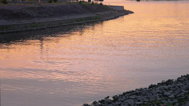 Wasseroberfl&auml;che im Mainzer Zollhafen am Rhein Mainz-Nordhafen Wasser im Neubaugebiet
