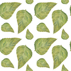 Pattern with green rose leaves of different shades, seamless. Watercolor illustration, hand-drawn. For printing wallpaper, fabric, packaging, scrapbooking, textiles. Isolated on a white background