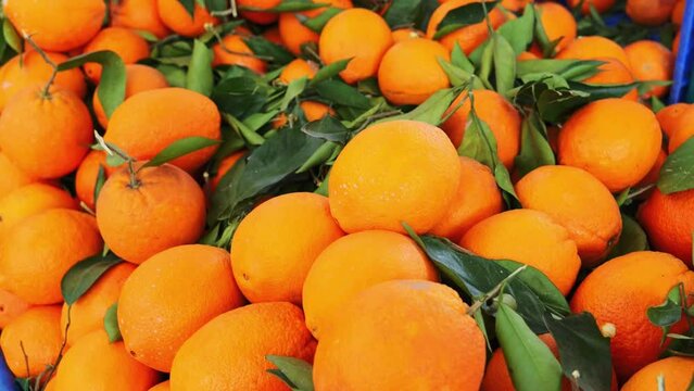 Large oranges with green leaves on the market, citrus fruits are strong allergens, health and nutrition.