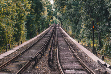 Train Tracks in the middle of a forest