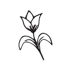 flower. lily. leaves. blooming. beautiful. fragrant. tasty. sweet smell. pollen. summer. spring. gift. the black color of the icon. doodle. vector illustration.