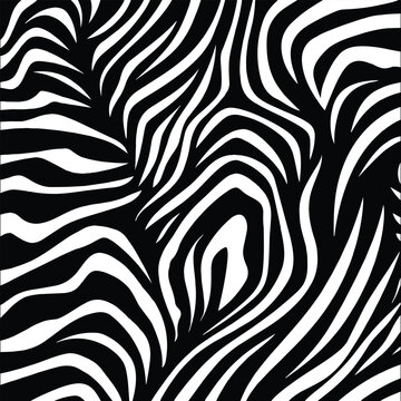 Vector animal print Zebra ornament Seamless pattern