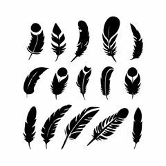 set of feather logo vector icon © erick