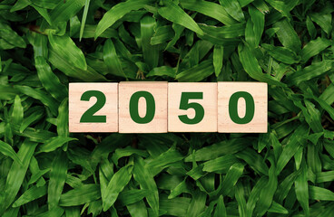 Green 2050 year on wooden block cube and green grass from Kyoto Protocol for carbon footprint and...
