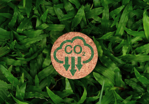 CO2 reducing icon print screen on wooden and green grass for decrease CO2 , carbon footprint and carbon credit to limit global warming from climate change, Bio Circular Green Economy concept.