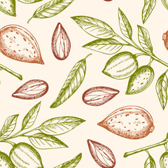 Seamless pattern with almond nuts - 619103667