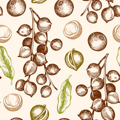 Vintage seamless pattern with macadamia nuts. - 619105263