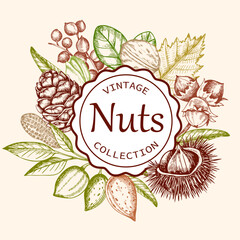 Vintage background with various nuts. - 619106022