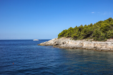 Fototapeta na wymiar Rocky Shore with Tree and Adriatic Sea in Croatia. Summer Day in Istria. Blue Water and Clouds in Europe.