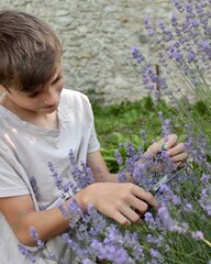 Fototapeta premium child with lavender, cute twelve-year-old boy in purple lavender flowers in sunlight feeling happy, having fun and showing positive and funny emotions