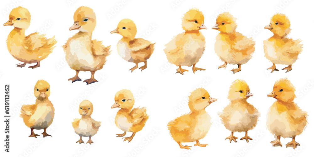 Wall mural watercolor baby duck clipart for graphic resources