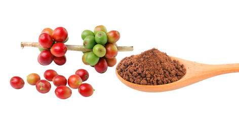  coffee beans isolated on transparent png