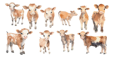 watercolor baby cow clipart for graphic resources © Dgillustration12u