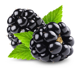 Blackberry isolated. Ripe blackberries with leaves on a transparent background.