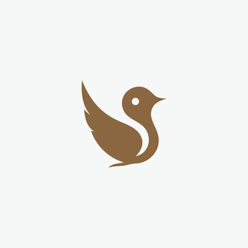 Bird logo design vector illustration