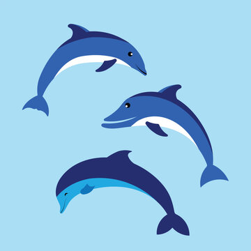  vector cute dolphin cartoon illustration