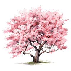 Obraz na płótnie Canvas sakura tree
