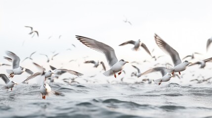 Obraz premium A flock of seagulls flying over the ocean. Generative AI image.