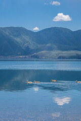 Natural Scenery of Lugu Lake Plateau Lakes in the Yunnan-Guizhou Plateau, China