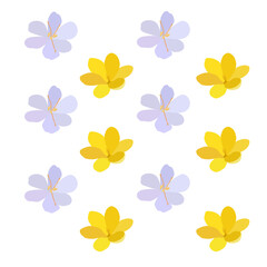 Fototapeta na wymiar Collection of crocuses and saffrons. A set of spring purple, yellow and white crocuses. Vector illustration of beautiful multicolored flowers
