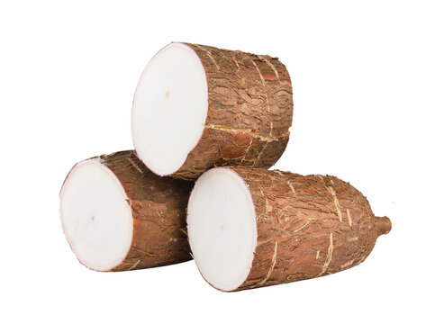 Cassava isolated on transparent png