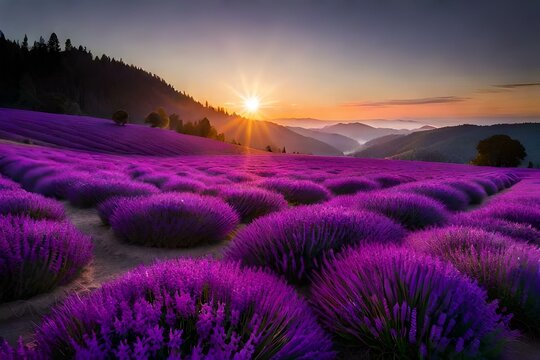 lavender field at sunset Generated AI