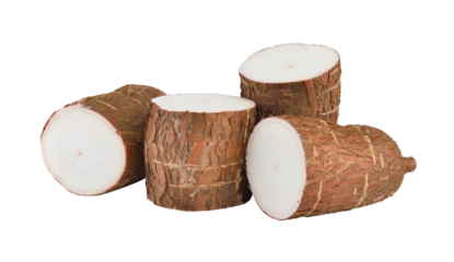 Cassava isolated on transparent png