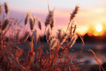 Naklejka premium Blurred out of focus total blur photo of a stunning interpretation colourful grass chops. AI generative