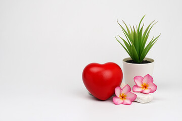 Obraz premium Red heart with white pebbles and frangipani flowers with decorative plant on white background. White stones. Life balance and harmony concept, spa,valentine concept. vertical.