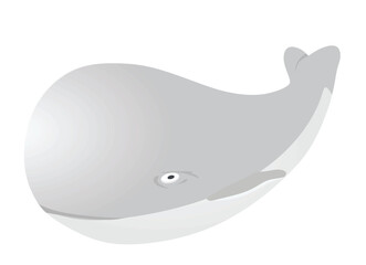 White whale toy. vector illustration