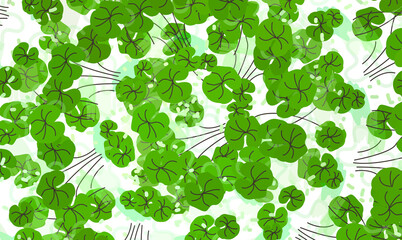 Obraz premium centella asiatica pattern background or texture