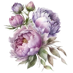 Watercolor delicate bouquet of lilac peonies illustration. Generative AI, png image.