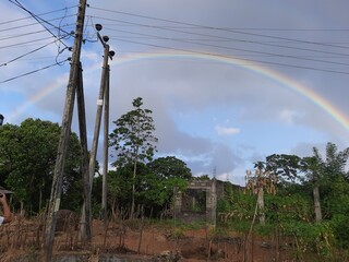 Obraz premium rainbow over the vineyard
