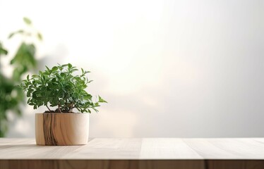 Fototapeta premium Modern Interior Design Concept with White Wall Background. Tabletop for your product with Tree Pot and Beautiful Plants as Decoration in Room