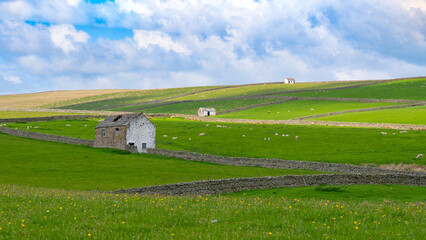 Obraz premium UK Farmland and Countryside - North Yorkshire Moors