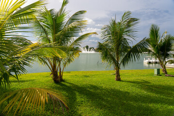 Recreation Parks and Tropical Gardens