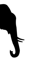Elephant Head Silhouette, Elephant Head design for Poster, Wall, Home, Glass, Windows, Doors, vehicles. Elephant Head icon.