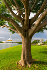 Recreation Parks and Tropical Gardens