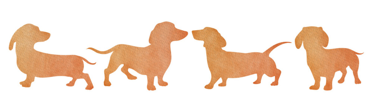 Watercolor silhouette dachshund dog