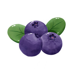 Fresh purple blueberries with green leaves