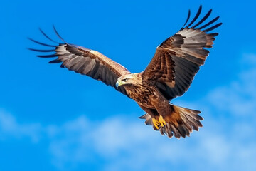Eagle flying isolated on blue sky.Generative Ai.