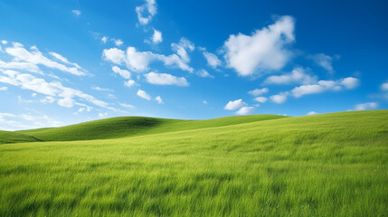 Fototapeta na wymiar Grassy hills with blue sky.Generative Ai.