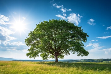 Obraz premium Green forest with sunny day.Generative Ai.